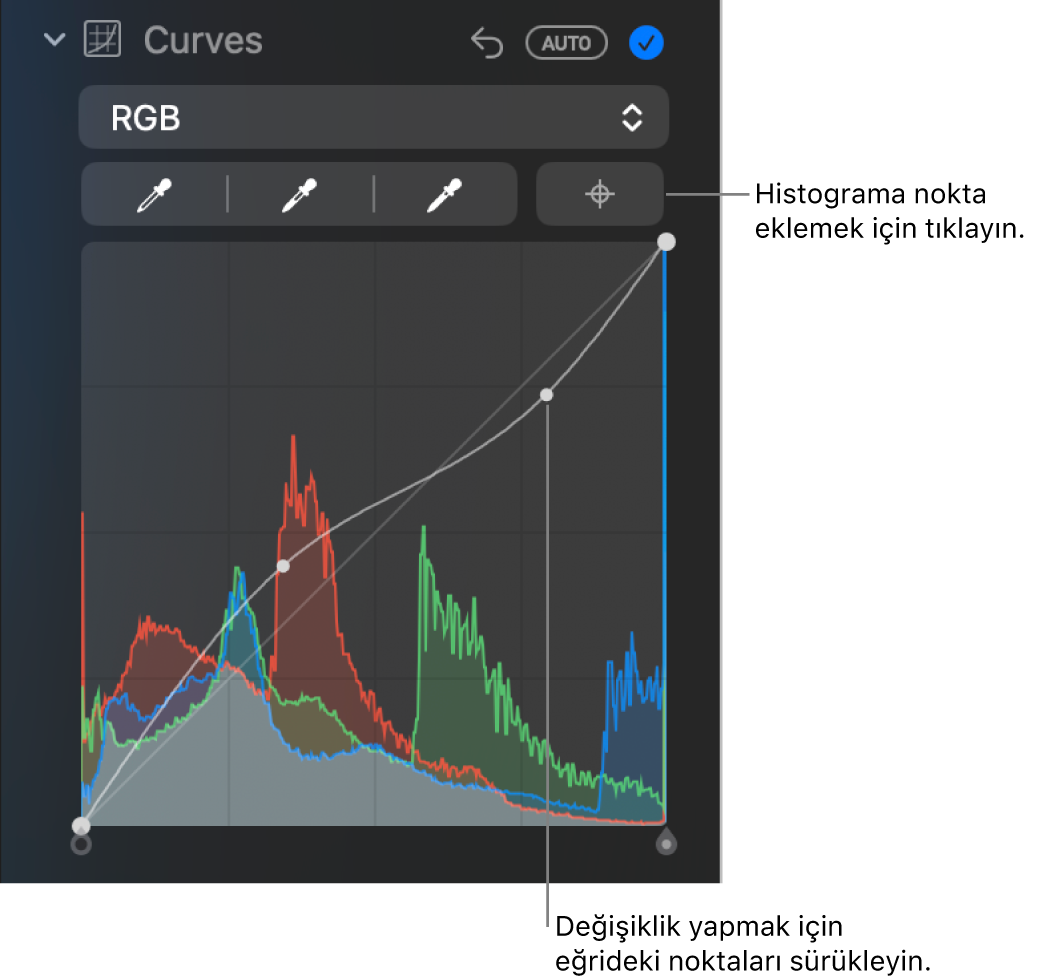 Sağ üstte Noktalar Ekle düğmesini ve altta RGB histogramını gösteren Ayarla bölümündeki Eğriler denetimleri.