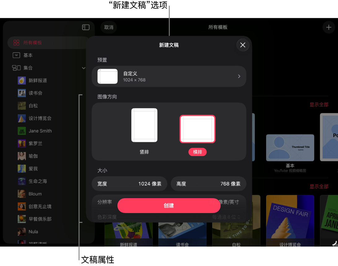 文稿浏览器