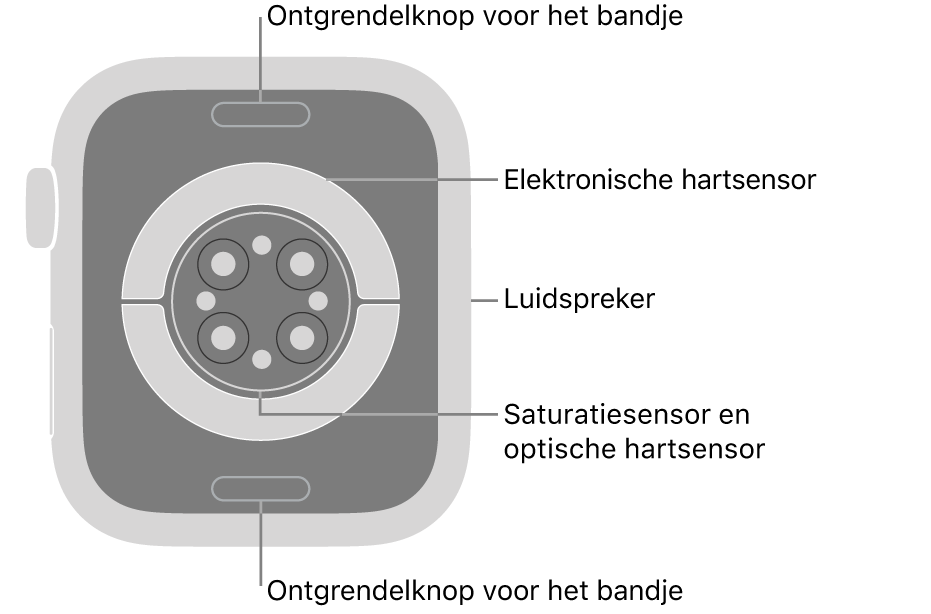 De achterkant van de Apple&nbsp;Watch Series&nbsp;9, met aan de boven- en onderkant de ontgrendelknoppen van het bandje, in het midden de elektrische hartsensoren, de optische hartsensoren en de saturatiesensoren, en aan de zijkant de luidspreker.