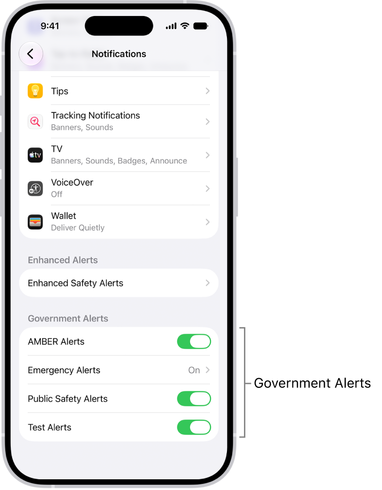 The Notifications screen, showing the Government Alerts you can turn on to receive government alerts.