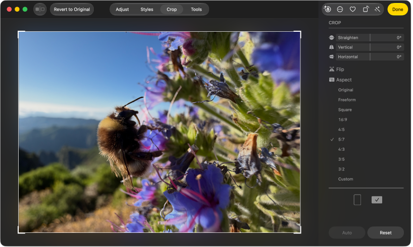 A photo in editing view, with Crop selected in the toolbar and cropping and straightening tools on the right.