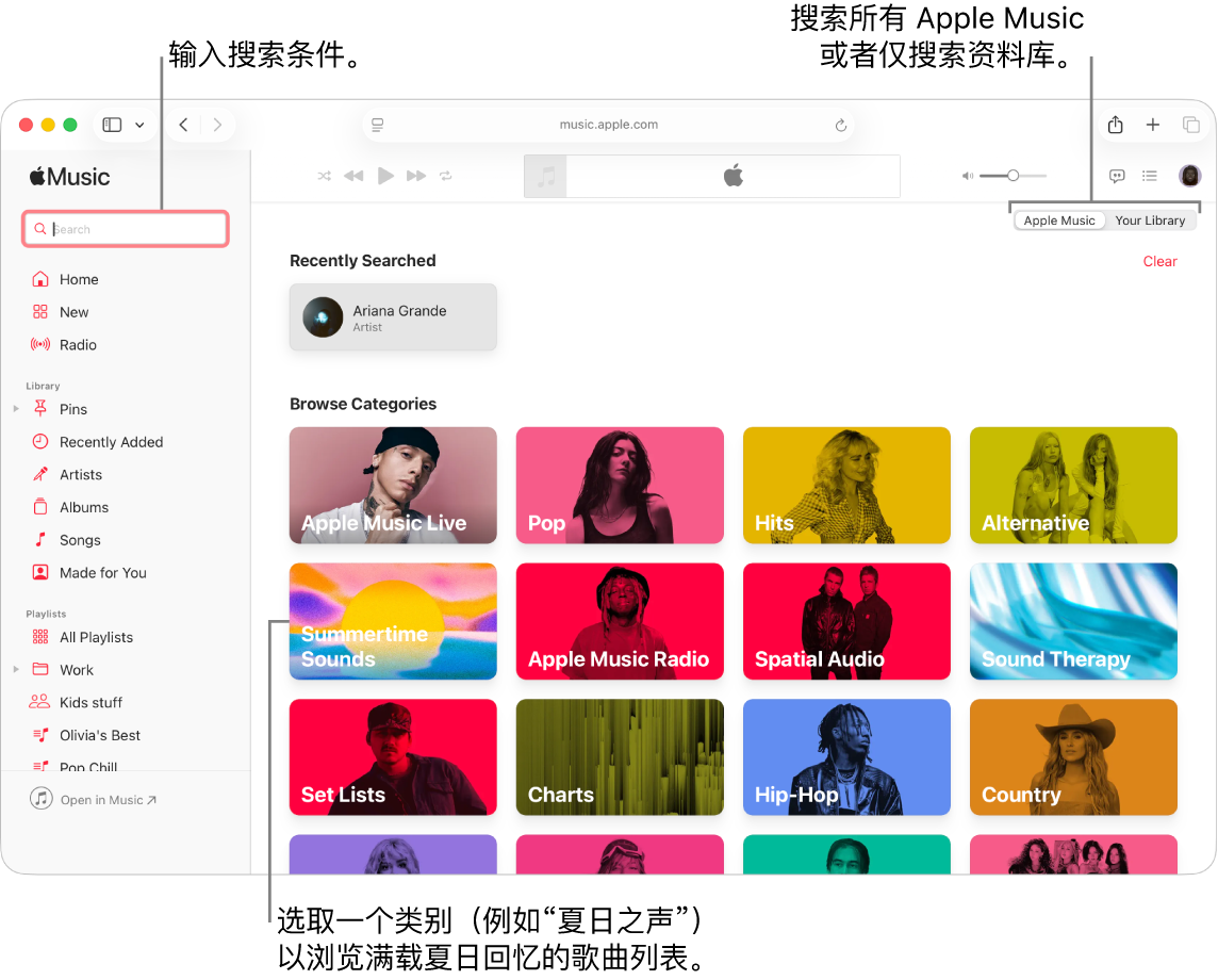 Apple Music 窗口的左上角显示搜索栏，窗口中间是类别列表，右上角显示“Apple Music”或“你的资料库”。在搜索栏中输入搜索条件，然后选取是搜索所有 Apple Music 还是仅搜索你的资料库。或者，选取一个类别（例如“夏日之声”）以浏览满载夏日回忆的歌曲列表。