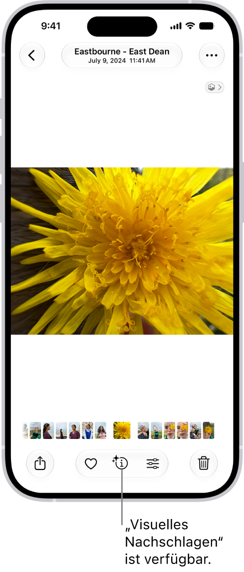 In der Fotos-App-Mediathek ist ein Foto geöffnet. Unten auf dem Bildschirm zeigt die Taste „Info“ ein Symbol, das darauf hinweist, dass Informationen für „Visuelles Nachschlagen“ verfügbar sind.