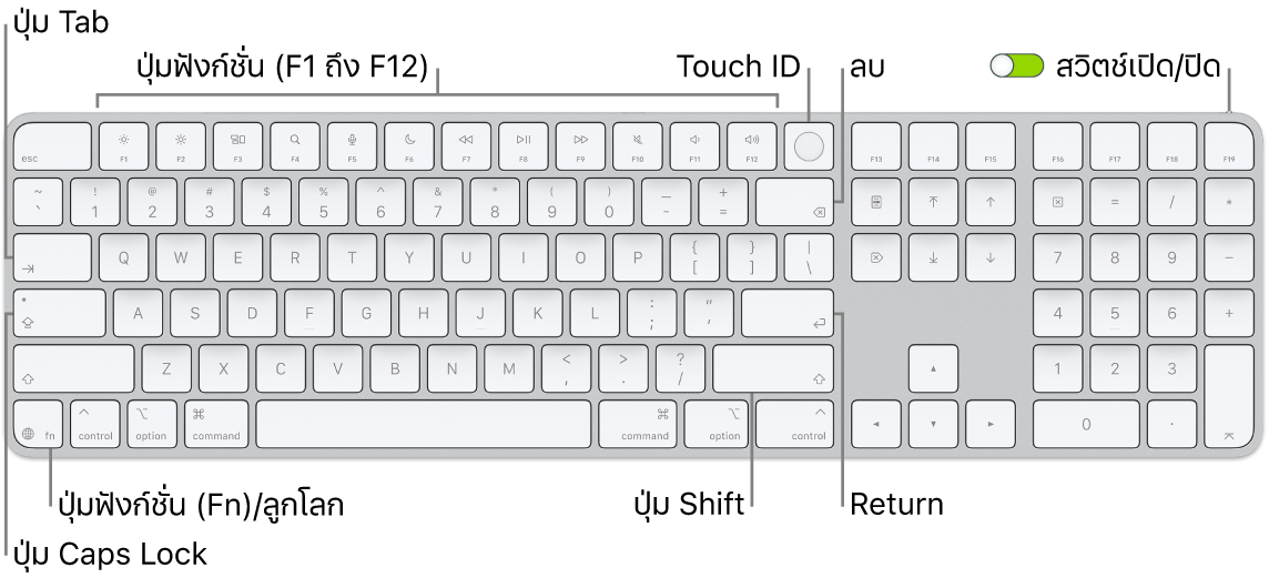 Magic Keyboard พร้อม Touch ID และปุ่มตัวเลขที่แสดงแถวของปุ่มฟังก์ชั่นและ Touch ID ตลอดแนวด้านบนสุด และปุ่มฟังก์ชั่น (Fn)/ปุ่มลูกโลกที่ด้านขวาของปุ่ม Delete