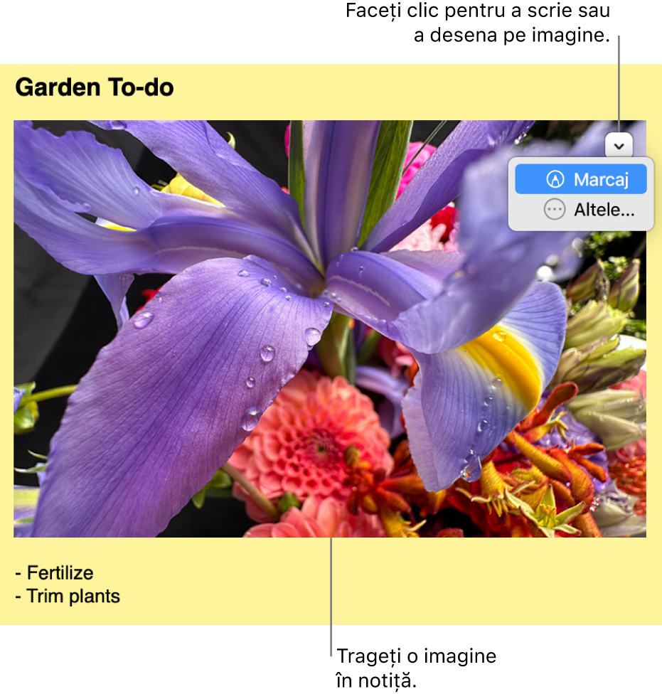 O notă adezivă deschisă cu o imagine.
