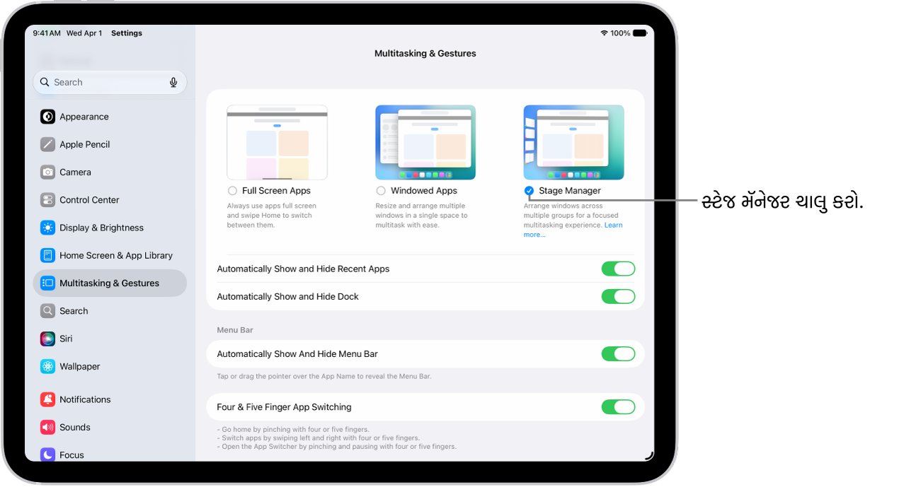 iPad સેટિંગ્સ ઍપ મલ્ટિટાસ્કિંગ અને જેસ્ચર વિકલ્પ બતાવે છે જે તમે ઘણી ઍપ્સમાં કામ કરવા માટે પસંદ કરી શકો છો.