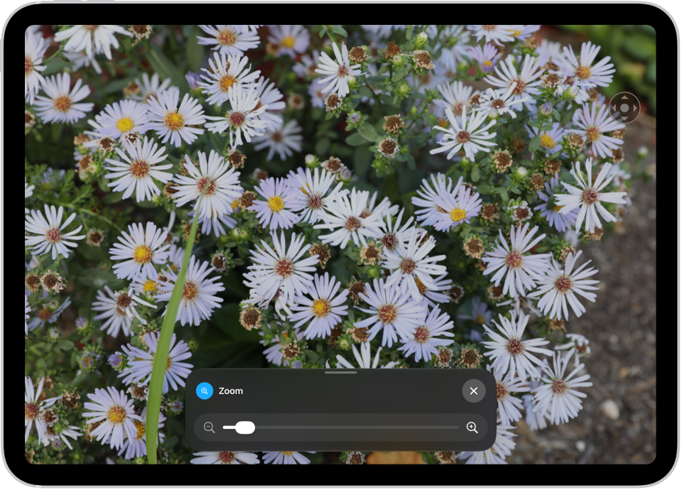 Un iPad mostrando una imagen de flores blancas.