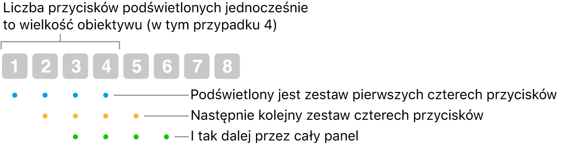 Ilustracja przedstawiająca działanie funkcji Sunięcie i&nbsp;krok: Wyróżniony jest zestaw czterech przycisków (rozmiar soczewki), następnie kolejny zestaw czterech przycisków&nbsp;–&nbsp;i&nbsp;tak dalej, w&nbsp;kolejnych nakładanych na siebie sekwencjach.