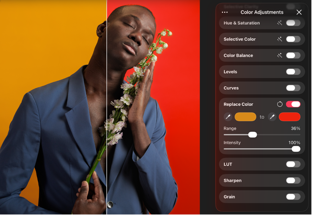 A photo in the canvas with the Replace Color adjustment applied. Beside it is the Color Adjustments pane showing the Replace Color controls.