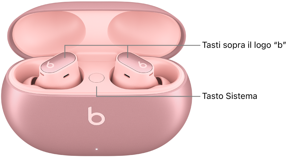 Immagine dei Beats&nbsp;Studio&nbsp;Buds&nbsp;+ che mostra la posizione dei tasti sopra il logo “b” sugli auricolari e la posizione del tasto Sistema all’interno della custodia di ricarica.
