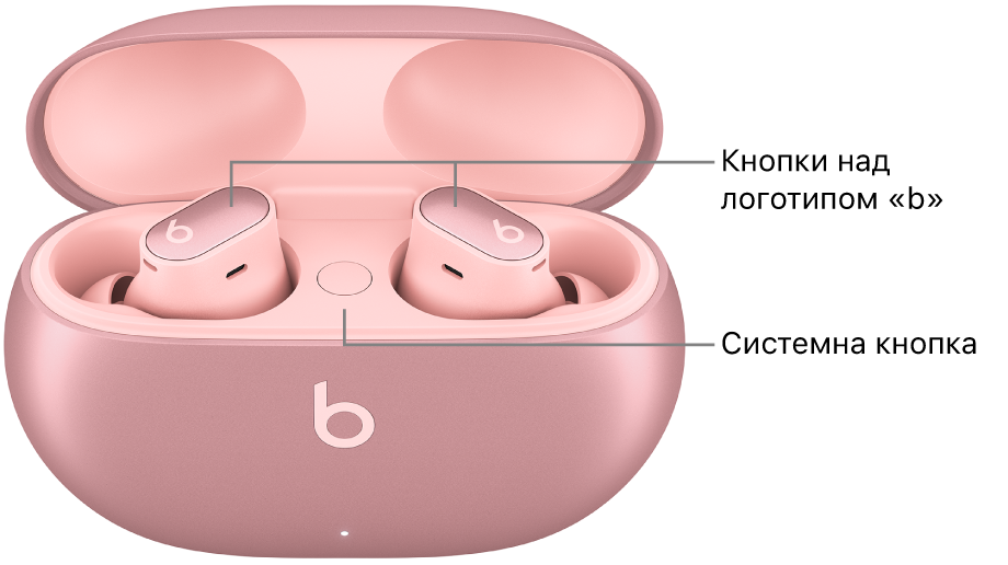 Зображення Beats&nbsp;Studio&nbsp;Buds&nbsp;+, на якому показано розташування кнопок над логотипом «b» на вставних навушниках і місце системної кнопки у футлярі для заряджання.