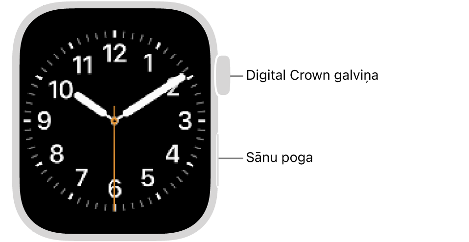 Apple&nbsp;Watch pulksteņa priekšpuse ar labās puses augšā redzamu Digital Crown galviņu un apakšā pa labi redzamu sānu pogu.