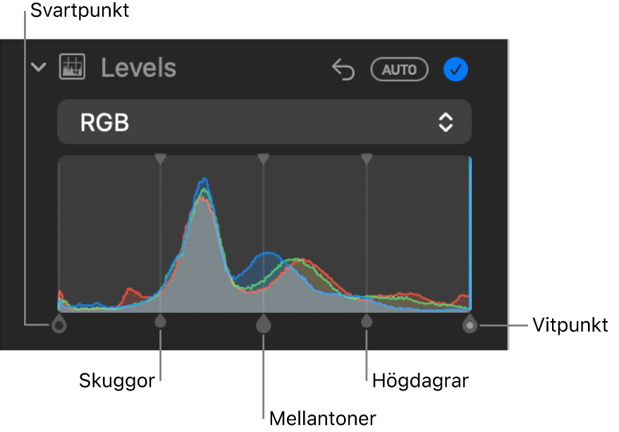 Nivåreglagen på panelen Justera med RGB-histogrammet och handtag nedanför med (från vänster till höger) svartpunkt, skuggor, mellantoner, högdagrar och vitpunkt.