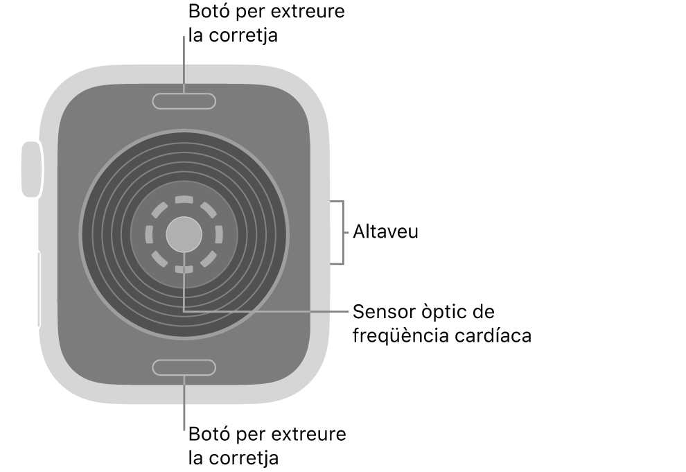 La part de darrere de l’Apple&nbsp;Watch&nbsp;SE&nbsp;3 mostra els botons per obrir la corretja a dalt i a baix; els sensors òptics cardíacs al mig, i l’altaveu a la part lateral del rellotge.