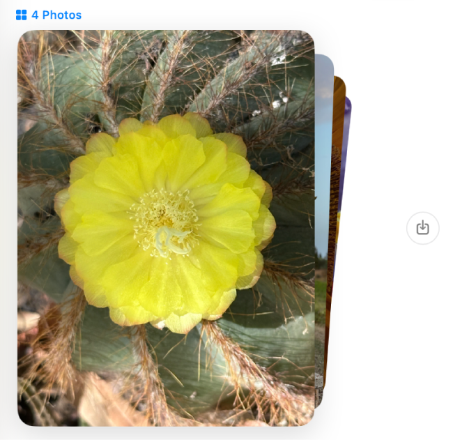 A stack of several photos in a conversation. Click the Save Photo button to the right to save the photos to your Photo Library.