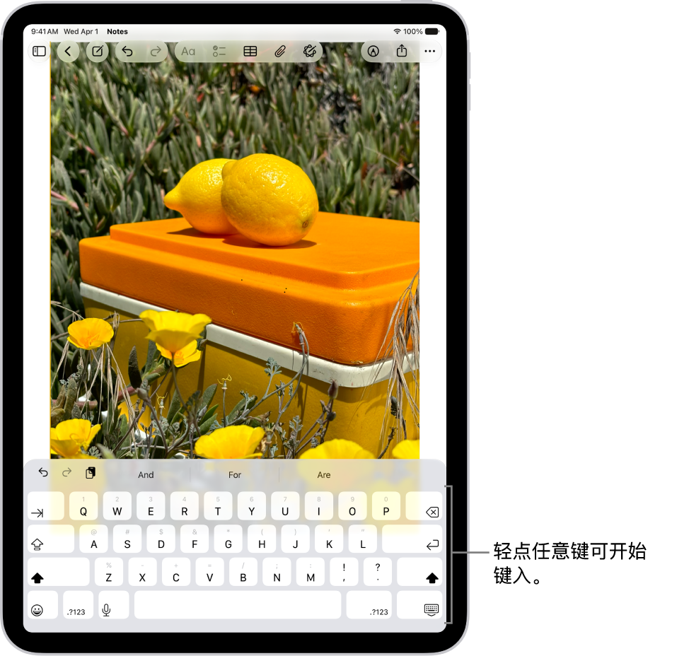 “备忘录” App 中打开的文稿。 屏幕键盘位于屏幕下半部分。