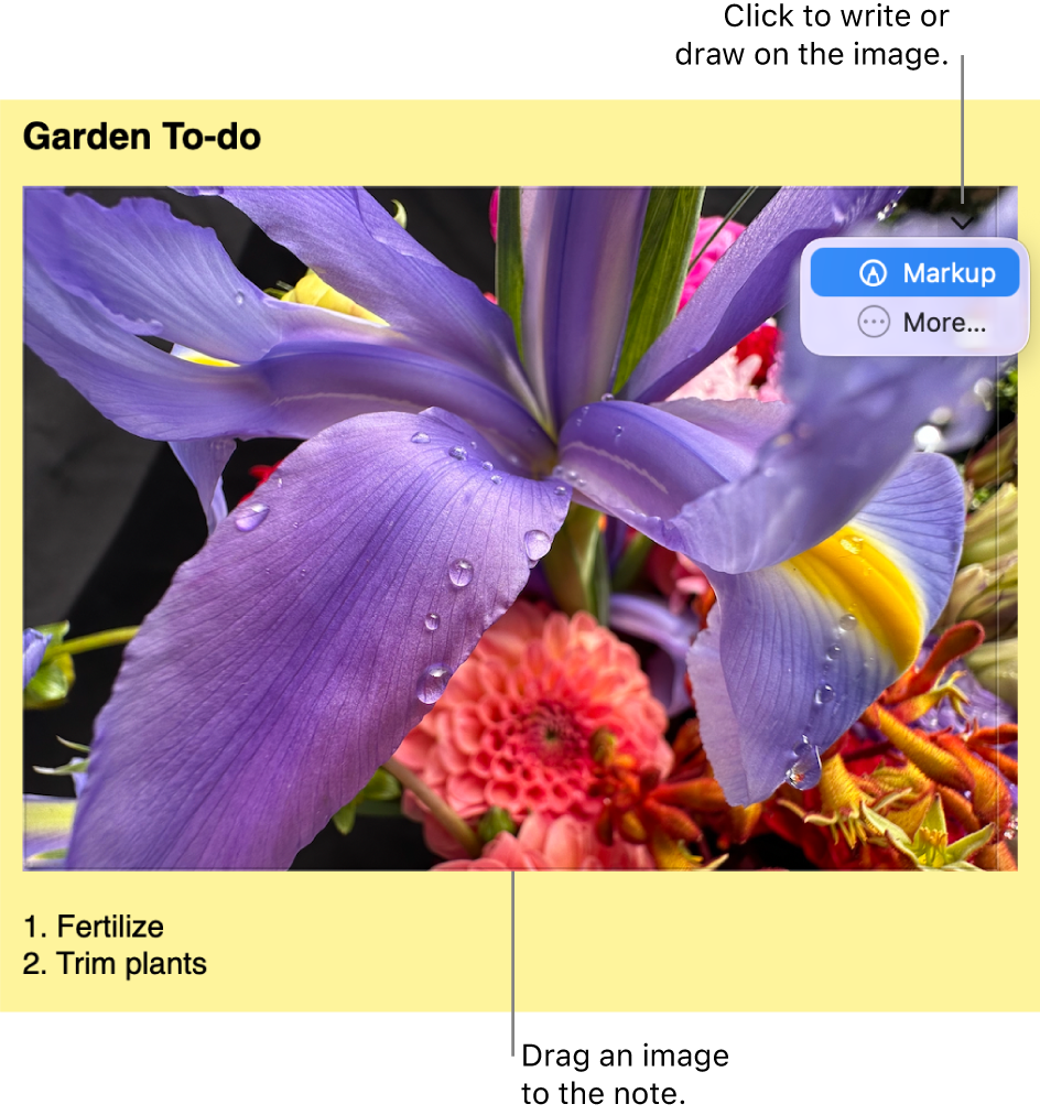 An open sticky note with an image.