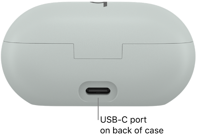 USB-C charging port on the back of the Beats Solo&nbsp;Buds charging case.