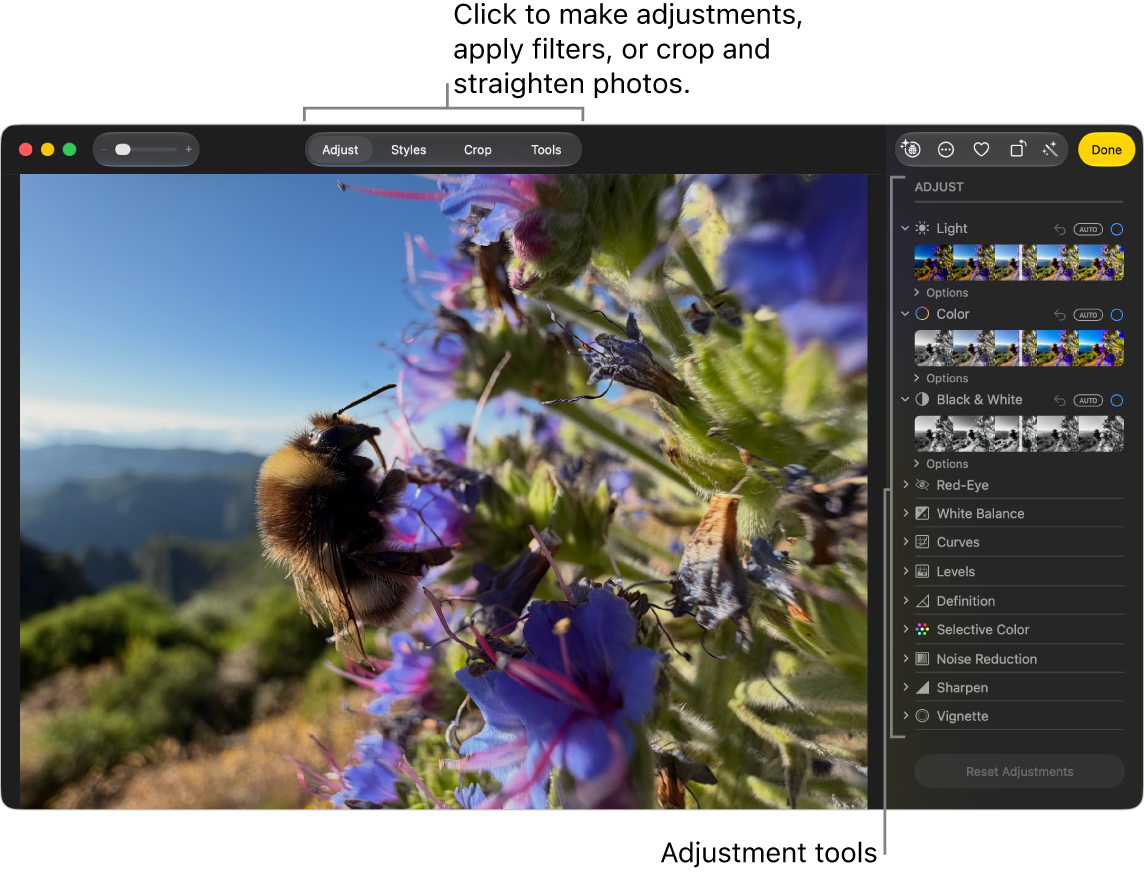 A photo in editing view, with Adjust selected in the toolbar and adjustment tools on the right.