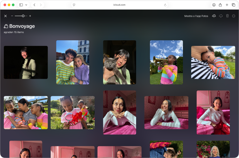 Un àlbum compartit a l’app Invitacions d’Apple d’iCloud.com en què es mostren fotos de gossos.