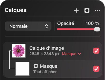 Un calque de masque dans la barre latérale Calques.