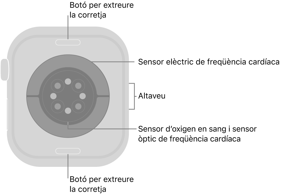 La part de darrere de l’Apple&nbsp;Watch&nbsp;Series&nbsp;10 mostra els botons per obrir la corretja a dalt i a baix; els sensors elèctrics cardíacs, els sensors òptics cardíacs i els sensors d’oxigen en sang al mig, i l’altaveu a la part lateral del rellotge.