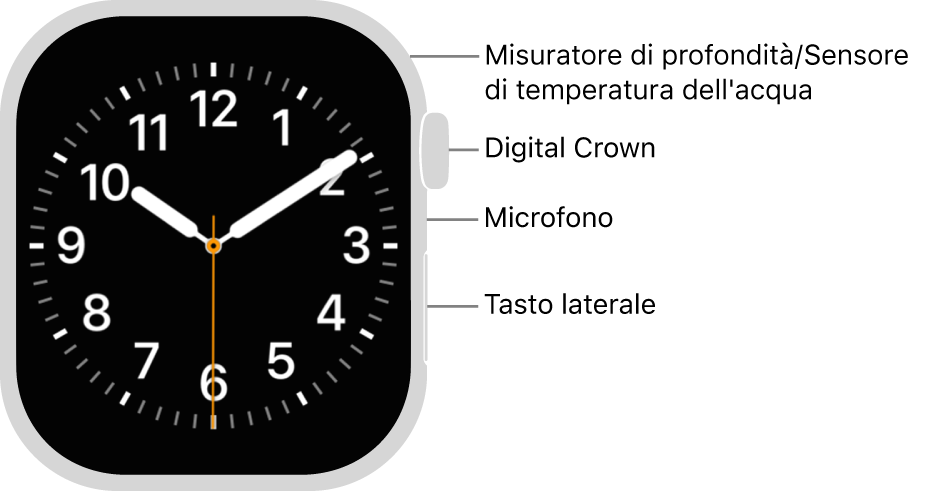 Apple&nbsp;Watch Series&nbsp;12 visto da davanti, con, dall’alto verso il basso, lo schermo che mostra il quadrante, la Digital Crown, il microfono e il pulsante laterale.