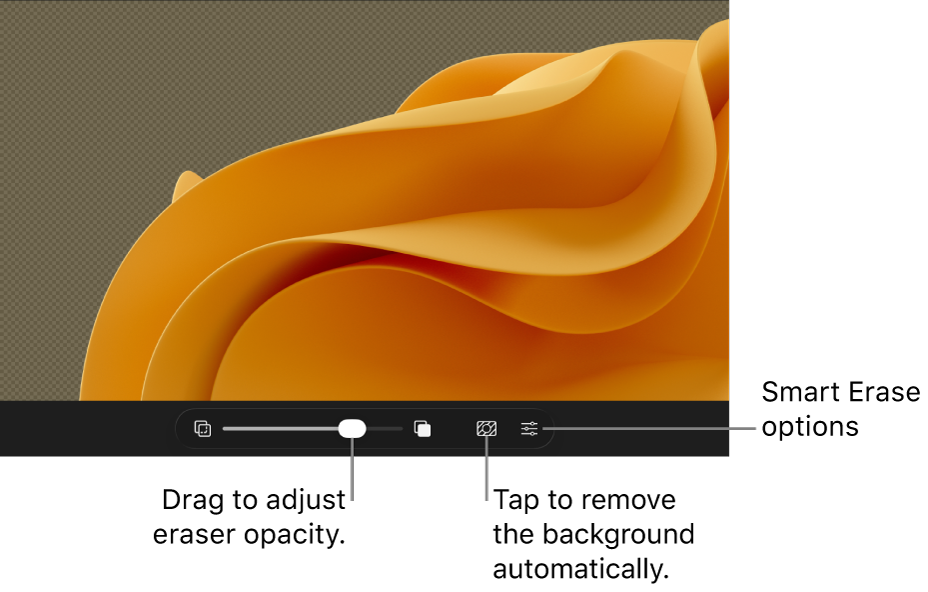 The Smart Erase toolbar at the bottom of the canvas on iPad.