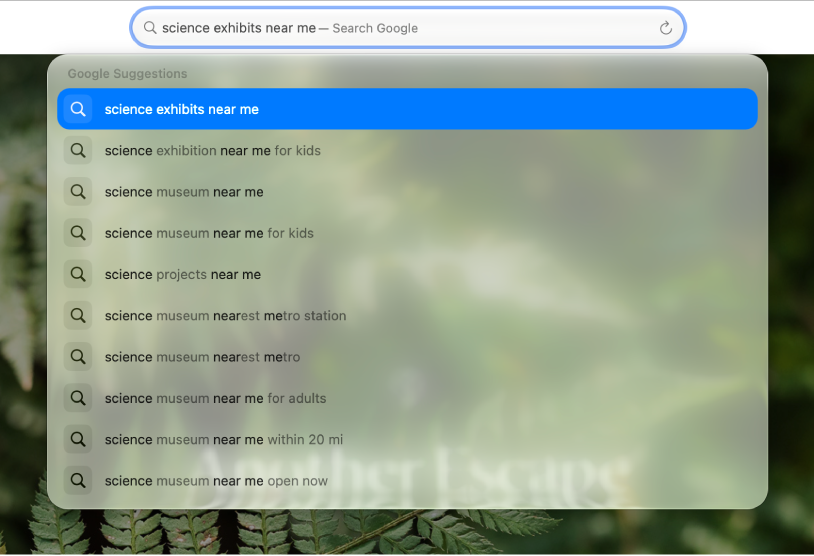 The Safari Smart Search field, where you can enter words and phrases to find information.