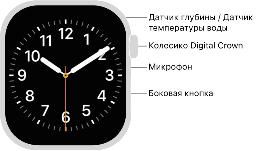 Лицевая сторона Apple&nbsp;Watch Series&nbsp;12. На&nbsp;дисплее показан циферблат. Сбоку на&nbsp;корпусе часов показаны сверху вниз: колесико Digital&nbsp;Crown, микрофон и&nbsp;боковая кнопка.