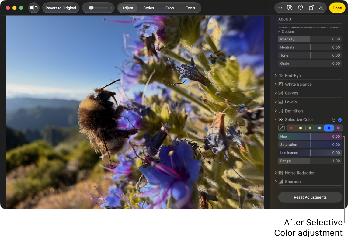A photo after a Selective Color adjustment, showing increased color saturation.