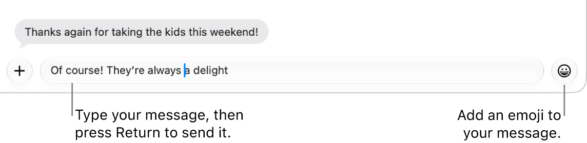 A transcript in the Messages window, with the message field showing at the bottom of the window.