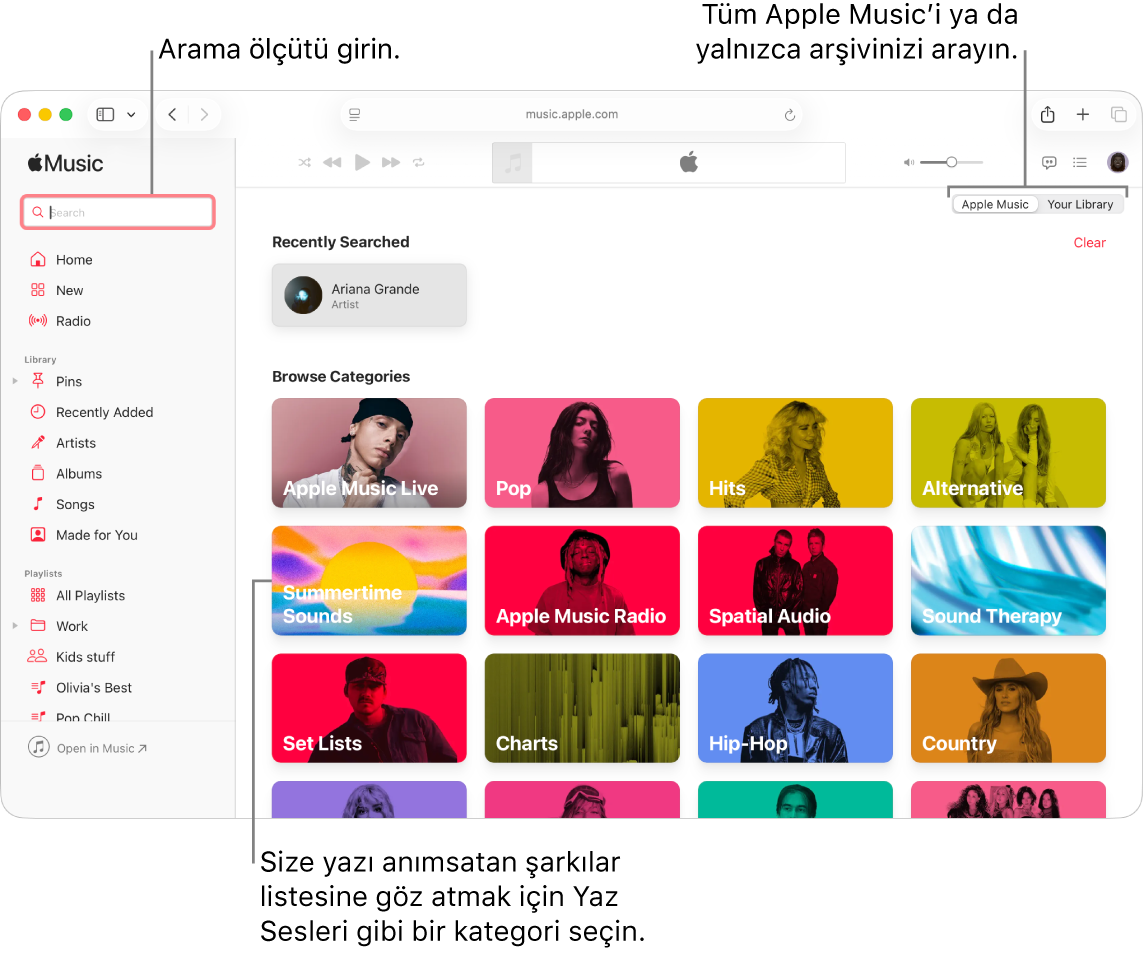 Sol üst köşede arama alanını, pencerenin ortasında kategori listesini ve sağ üst köşede Apple Music veya Arşiviniz seçeneklerini gösteren Apple Music penceresi. Arama alanına arama ölçütünü girin, sonra Apple Music’in tamamında veya yalnızca arşivinizde arama yapmayı seçin. İsteğe bağlı olarak, size yazı anımsatan parçaların listesine göz atmak için Yaz Sesleri gibi bir kategori seçin.