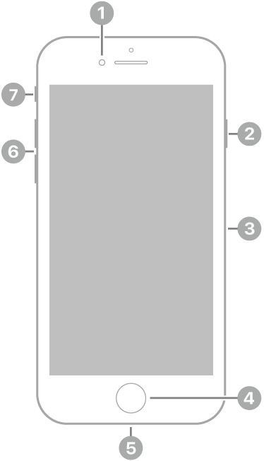 El frente del iPhone&nbsp;SE (segunda generación). La cámara frontal está en la parte superior, a la izquierda de la bocina. En el lateral derecho, de arriba a abajo, se encuentran el botón lateral y la bandeja de la tarjeta SIM. El botón de Inicio se sitúa en el centro inferior. El conector Lightning está en el borde inferior. En el lateral izquierdo, de abajo a arriba, se encuentran los botones de volumen y el interruptor de Tono/Silencio.