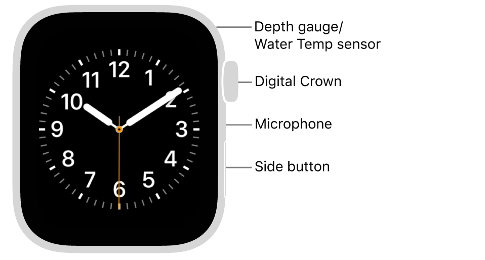The front of Apple Watch SE 3, with the display showing the watch face, and the Digital Crown, microphone, and side button from top to bottom on the side of the watch.