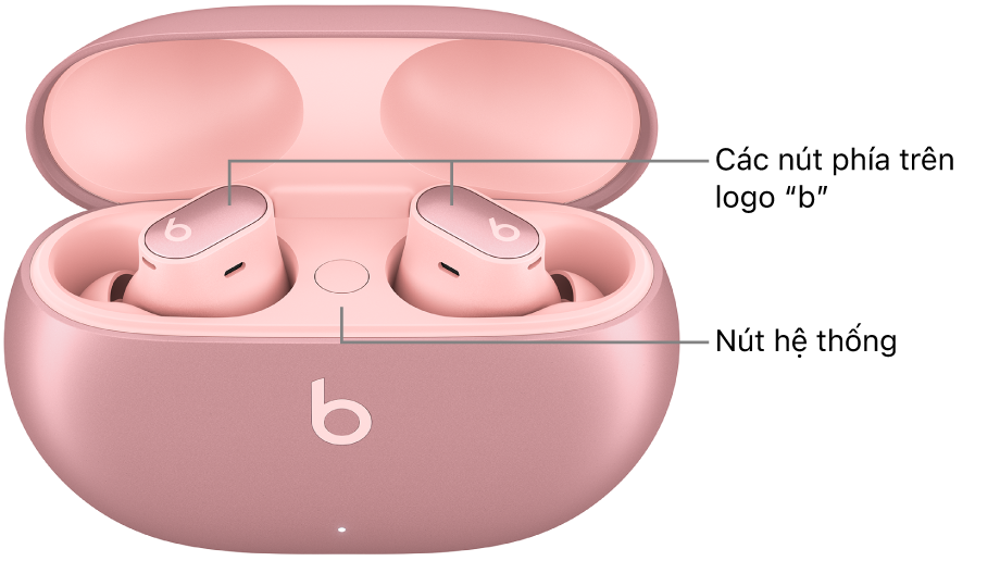 Hình ảnh của Beats&nbsp;Studio&nbsp;Buds&nbsp;+ đang hiển thị vị trí của các nút phía trên logo “b” trên tai nghe và vị trí của nút hệ thống bên trong hộp sạc.