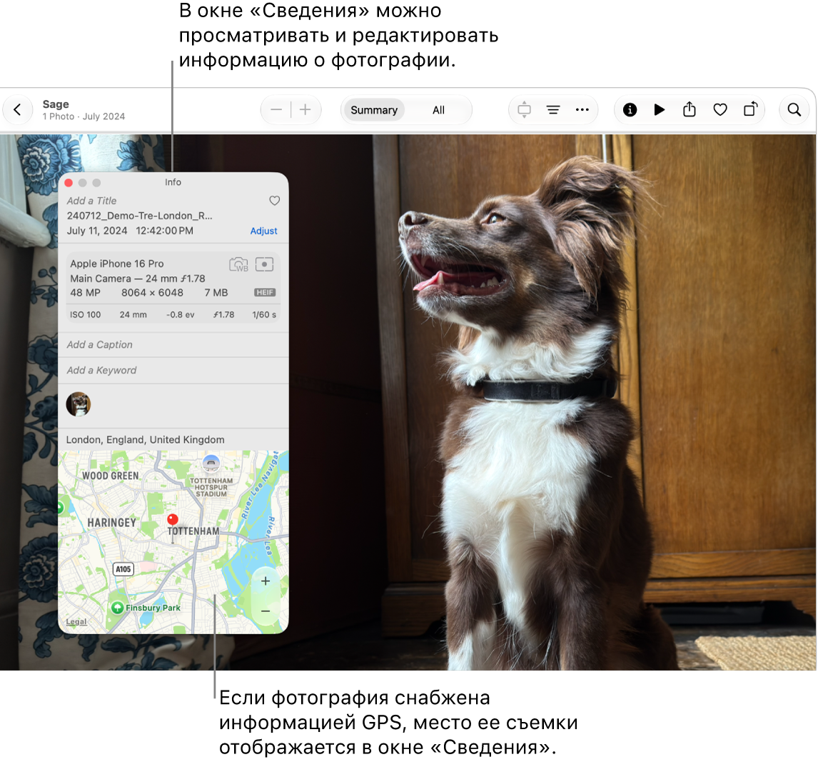 В&nbsp;окне «Сведения» для&nbsp;фотографии отображается дата, время и&nbsp;геопозиция съемки, информация об&nbsp;устройстве, на&nbsp;котором было сделано фото, и&nbsp;другие данные.