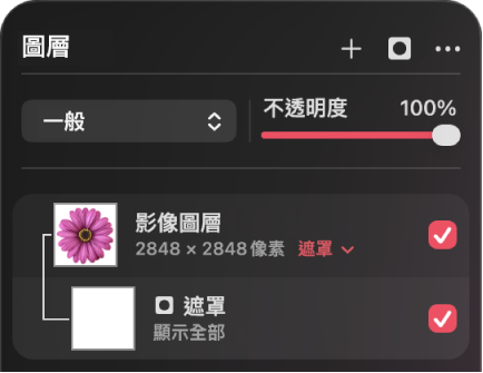 「圖層」側邊欄中的遮罩圖層。
