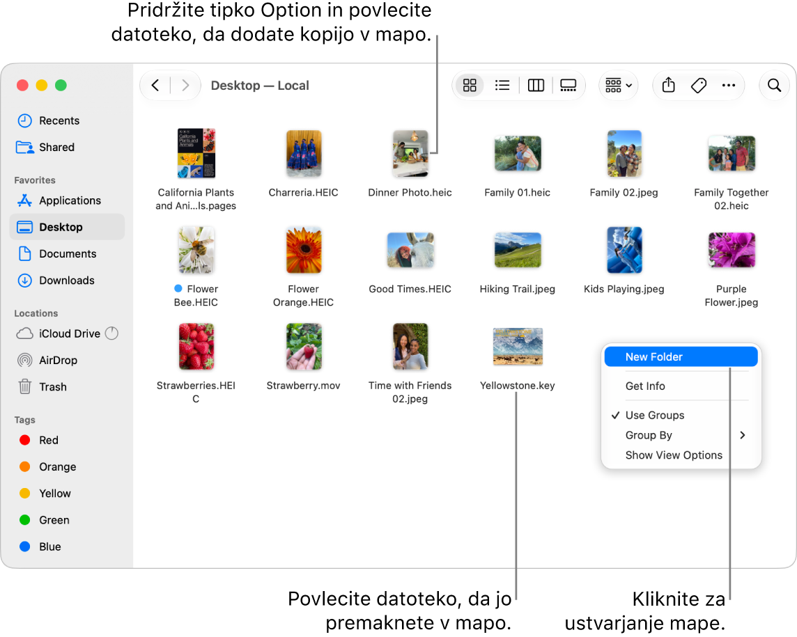 Okno aplikacije Finder, ki vsebuje datoteke in mape. V priročnem meniju je označena možnost Nova mapa.