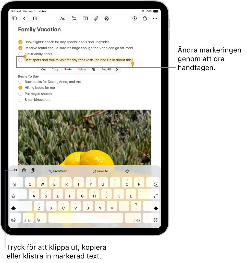 Text är markerad i en anteckning i appen Anteckningar. Ovanför den markerade texten finns en meny med knappar, inklusive Klipp ut, Kopiera och Klistra in. Texten är markerad och har handtag för att justera markeringen i vardera änden.