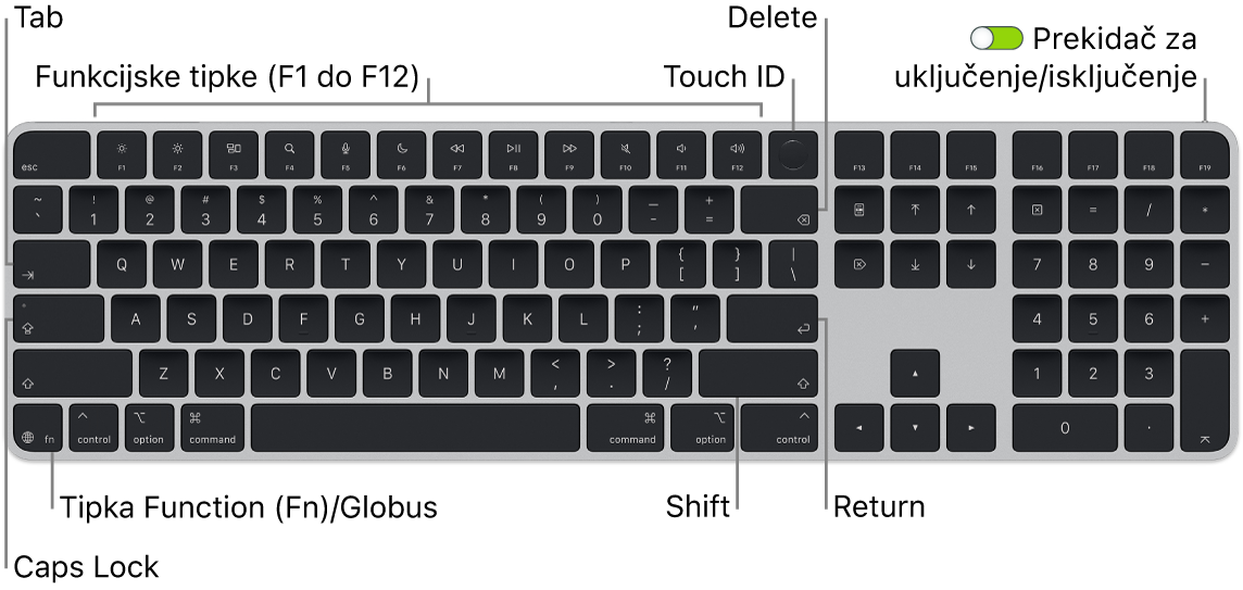 Magic Keyboard s Touch ID-jem i numeričkom tipkovnicom na kojem se vidi red funkcijskih tipki i Touch ID na vrhu i tipka Funkcija (Fn)/Globus u donjem lijevom dijelu.