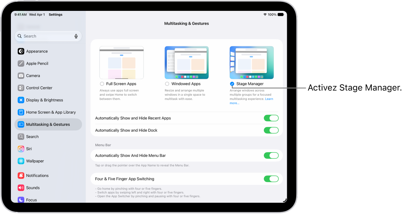 L’app Réglages de l’iPad, avec les options «&nbsp;Multitâche et gestes&nbsp;» que vous pouvez choisir pour utiliser plusieurs apps.