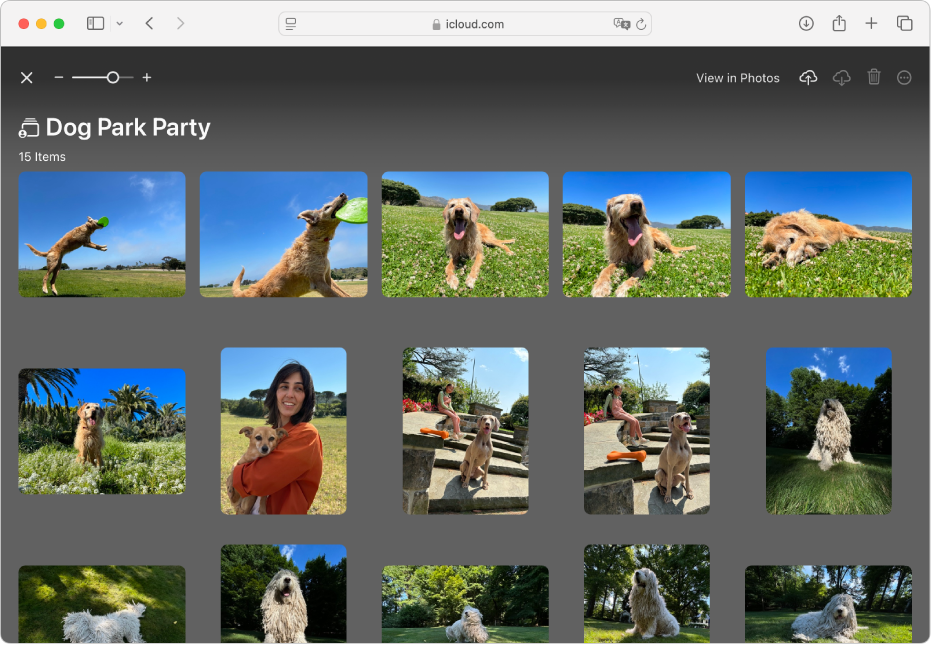 Apple invites user guide apple support