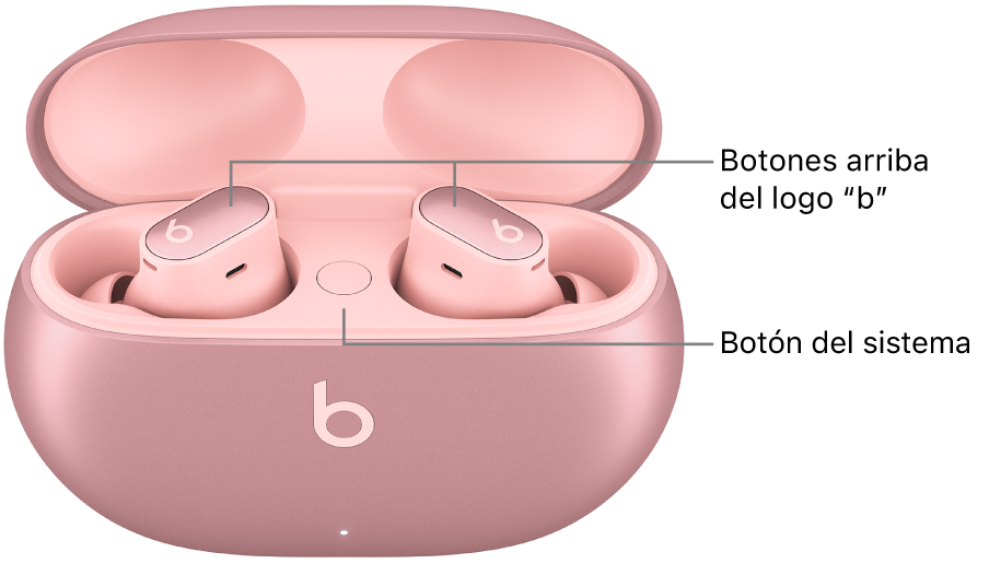 Imagen de los Beats&nbsp;Studio&nbsp;Buds&nbsp;+ mostrando la ubicación de los botones arriba del logotipo “b” en los audífonos y la ubicación del botón del sistema dentro del estuche de carga.