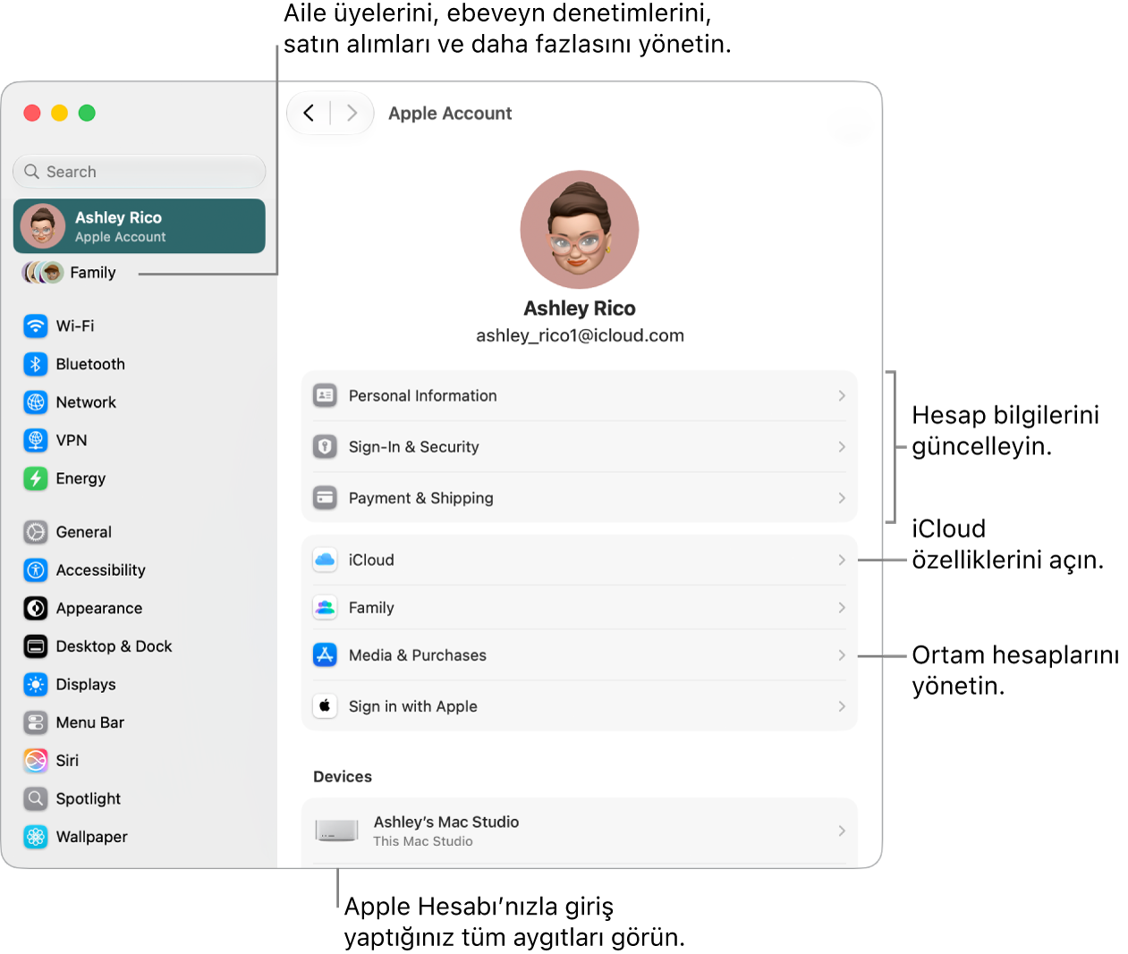 Hesap bilgilerini güncellemeye, iCloud özelliklerini açıp kapatmaya, ortam hesaplarını yönetmeye ve aile üyelerini, ebeveyn denetimlerini, satın alımları ve daha fazlasını yönetebileceğiniz Aile ayarlarını düzenlemeye belirtme çizgileri ile Sistem Ayarları’nda Apple Hesabı ayarları.