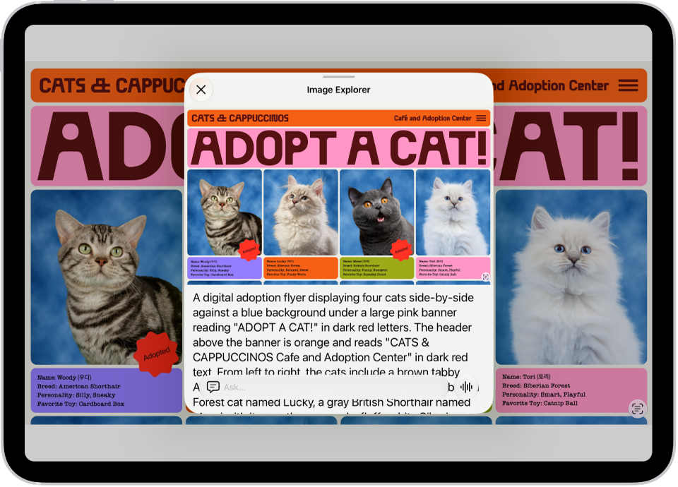 An Image Explorer screen giving a description of a cat adoption flyer.