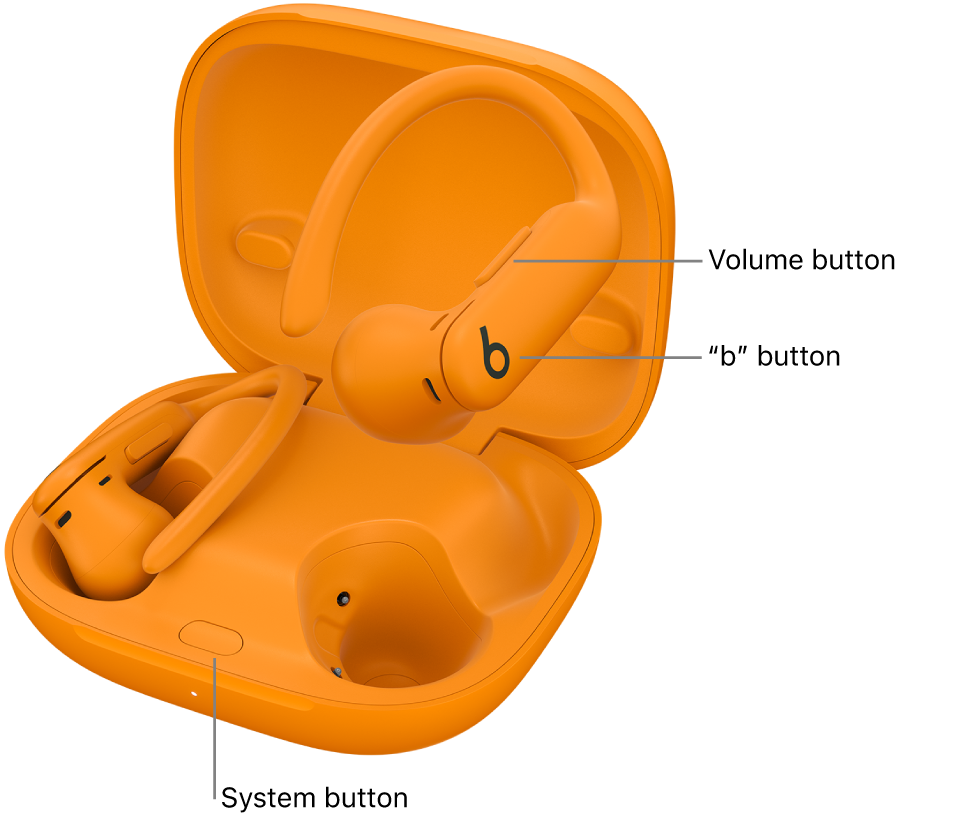 Image of Powerbeats&nbsp;Pro&nbsp;2&nbsp;showing the location of the “b” button on an earbuds and location of the system button inside the charging case.