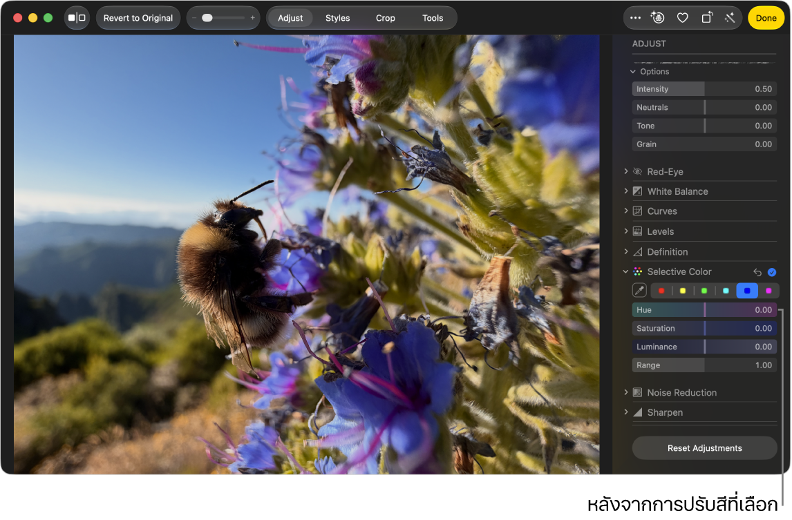 รูปภาพหลังการปรับสีที่เลือก โดยแสดงความอิ่มตัวของสีที่เพิ่มขึ้น