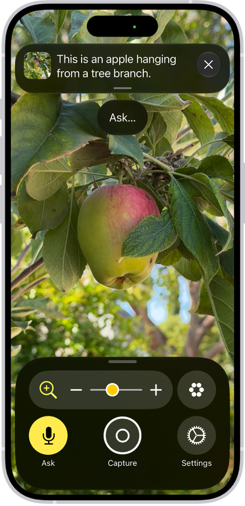 The Magnifier app showing a close-up of an unripe apple.