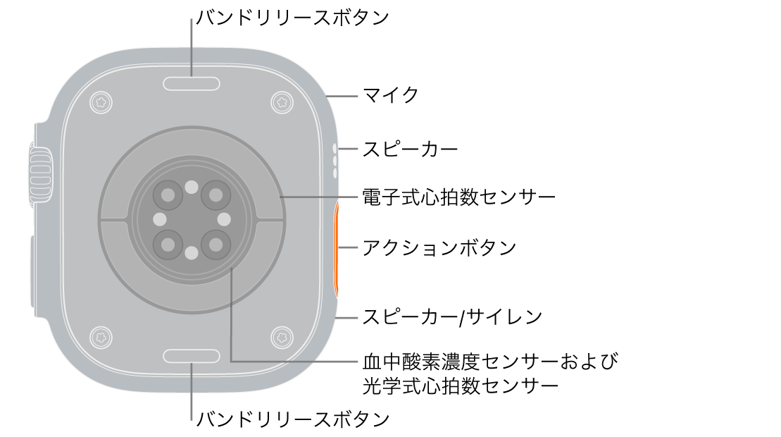 Apple Watch Ultra 3の背面。上下にバンドリリースボタンがあります。側面には、マイク、スピーカー、電気式心拍数センサー、アクションボタン、サイレンが鳴るスピーカーポート、血中酸素ウェルネスセンサー、光学式心拍数センサーがあります。